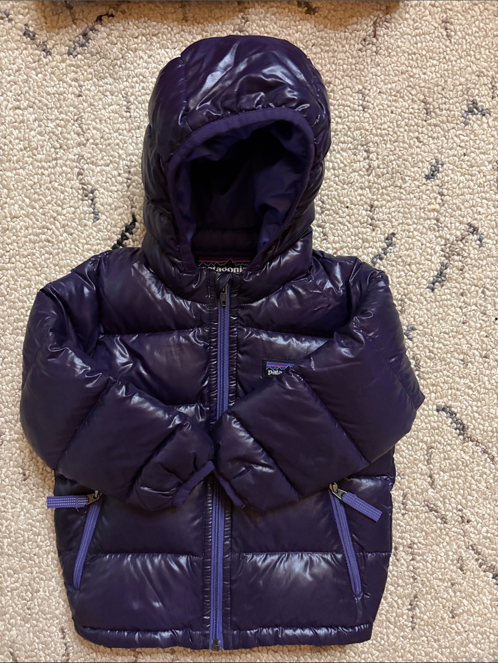 Patagonia Kids Puffer Jacket (2T)